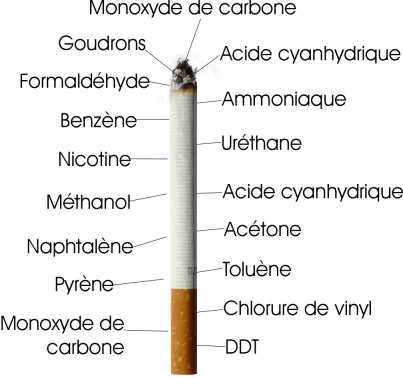 Quil est plus effectif tchampiks ou tabeks