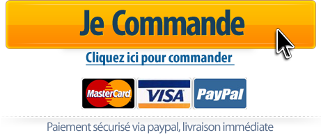 Commander